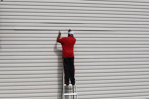Best Vinyl Siding Installation  in Guadalupe, AZ