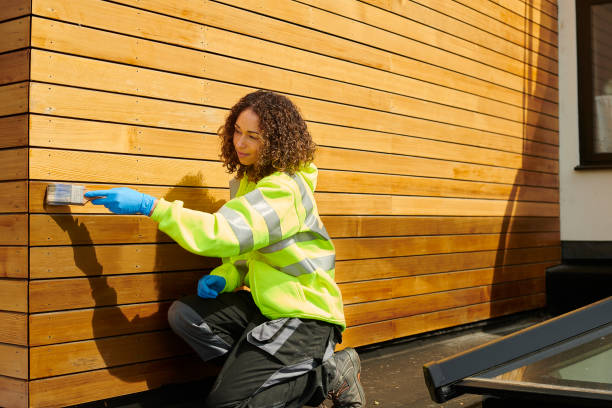 Best Siding for New Construction  in Guadalupe, AZ